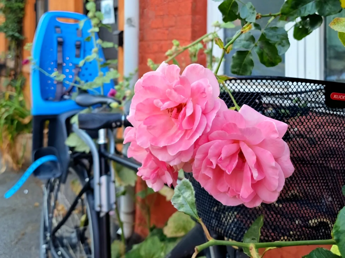 Olufsgade, Østerbro, Copenhagen